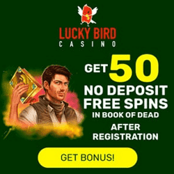 luckyniki test
