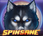 Spinsane  Video Slot Game