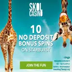 Skol Casino Banner - 250x250