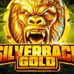 silverback-gold